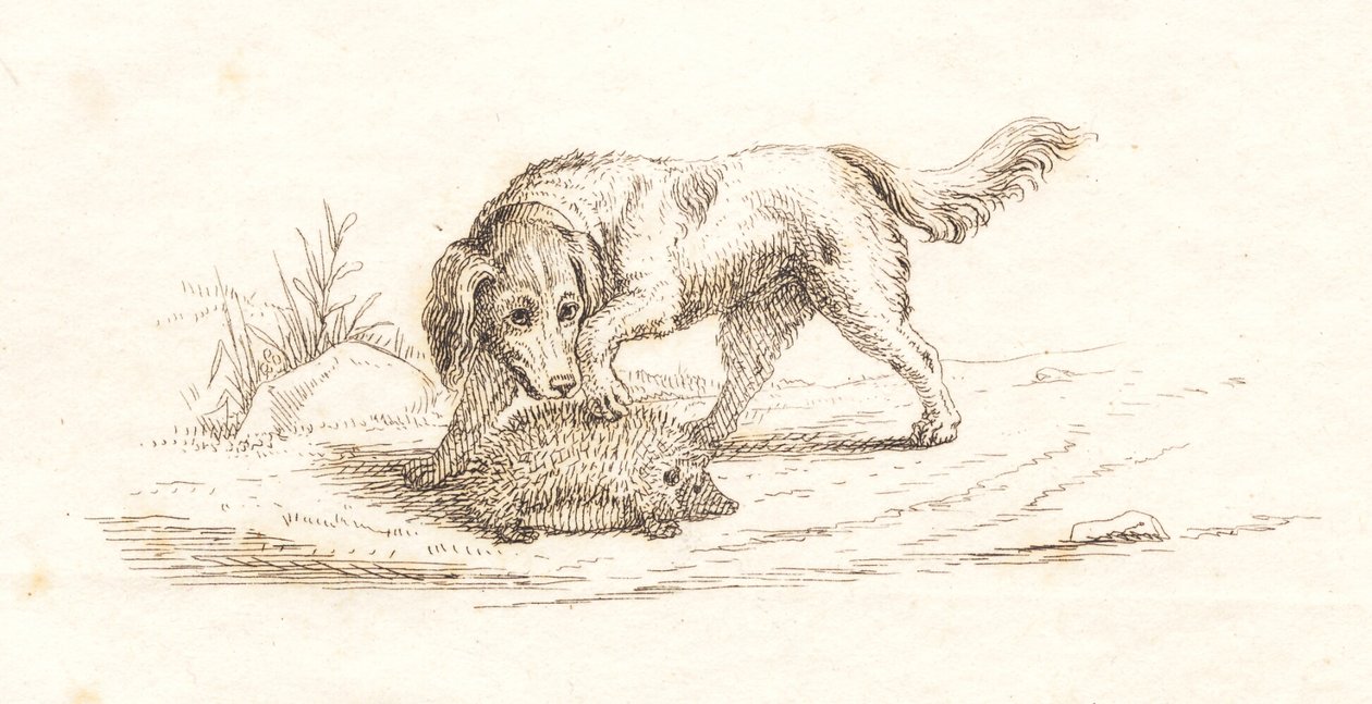 Illustration til "Halvhundrede Fabler for Børn" af Hey af Martinus Rørbye