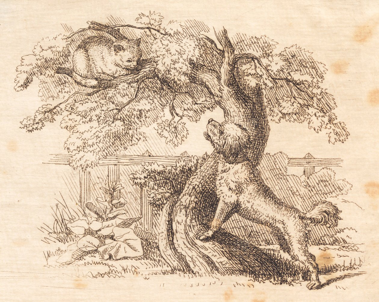 Illustration til "Halvhundrede Fabler for Børn" af Hey af Martinus Rørbye