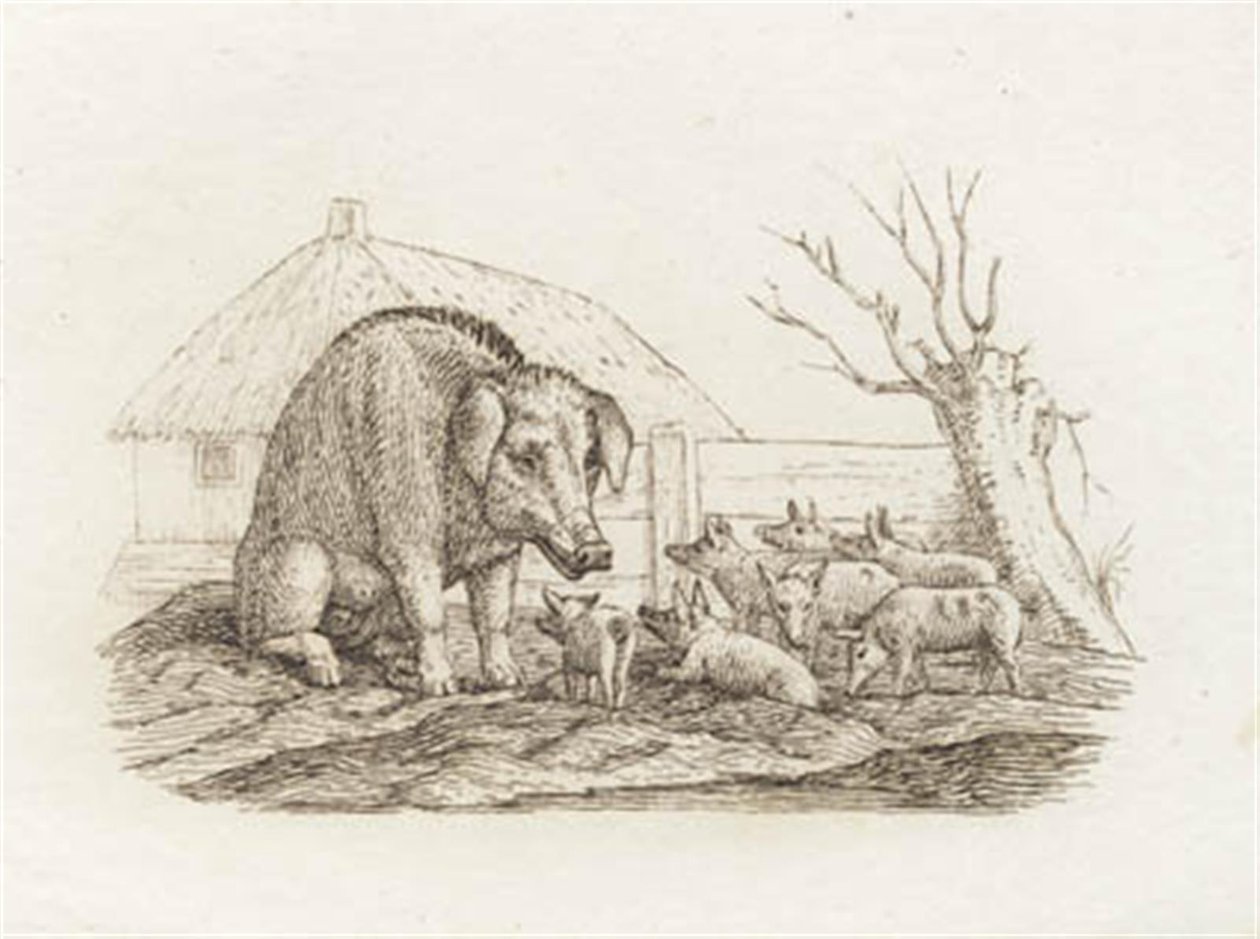 Illustration til "Halvhundrede Fabler for Børn" af Hey af Martinus Rørbye