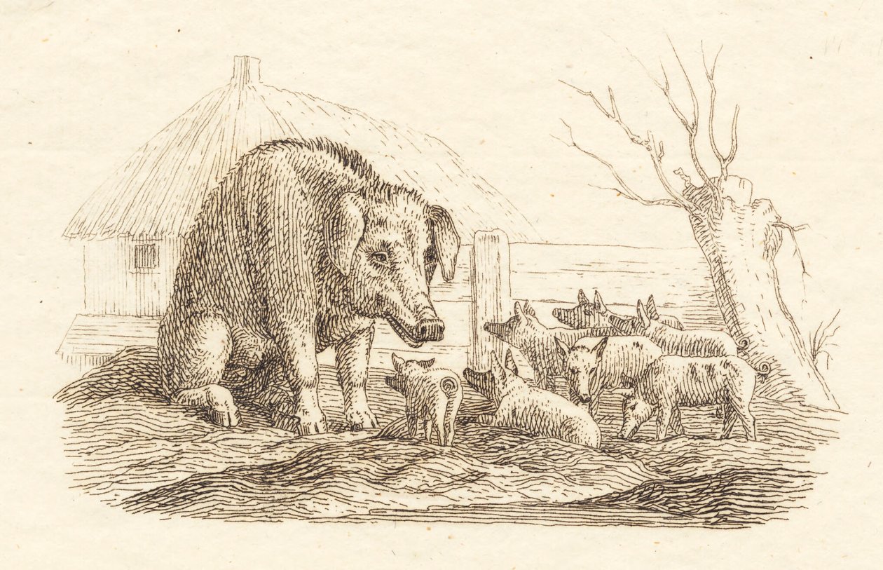 Illustration til "Halvhundrede Fabler for Børn" af Hey af Martinus Rørbye