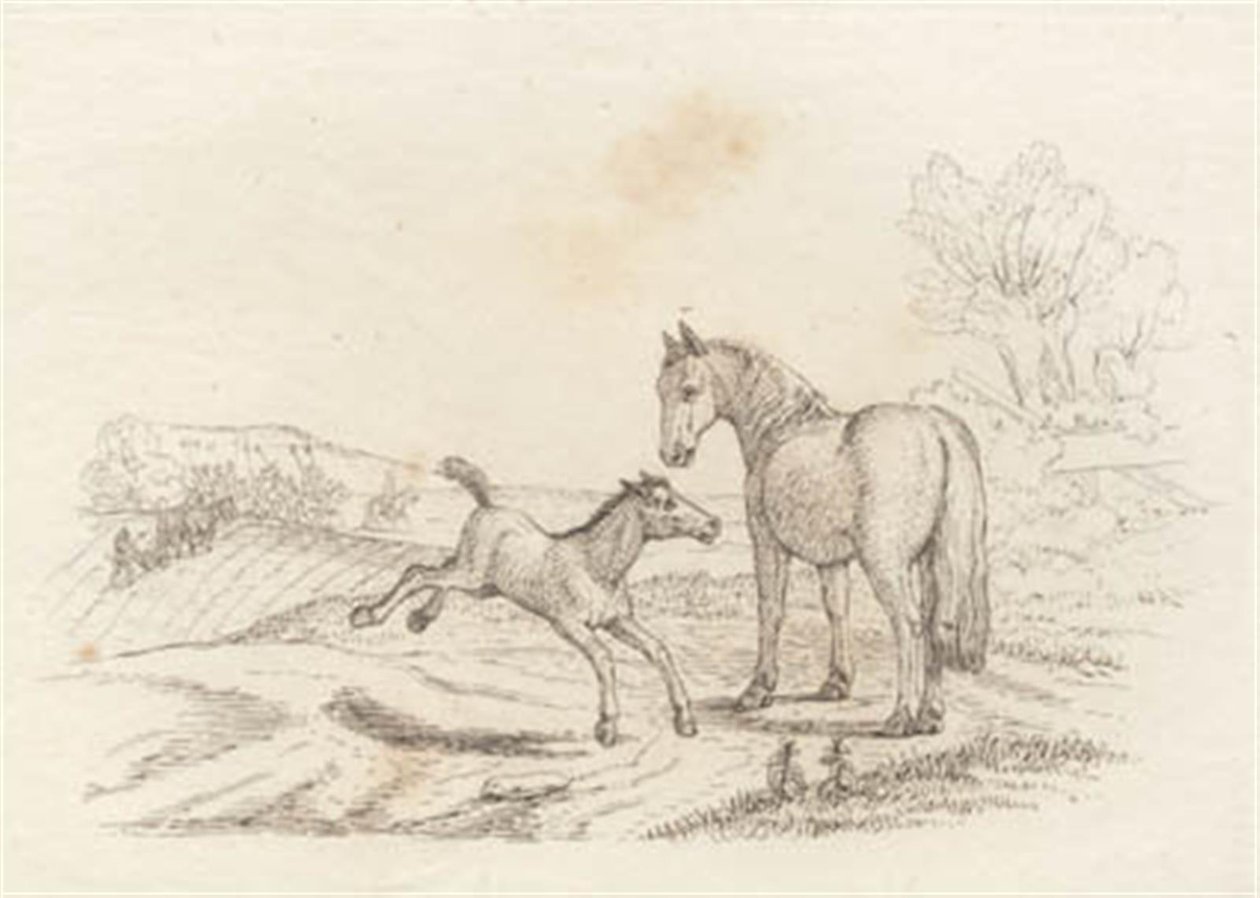 Illustration til "Halvhundrede Fabler for Børn" af Hey af Martinus Rørbye