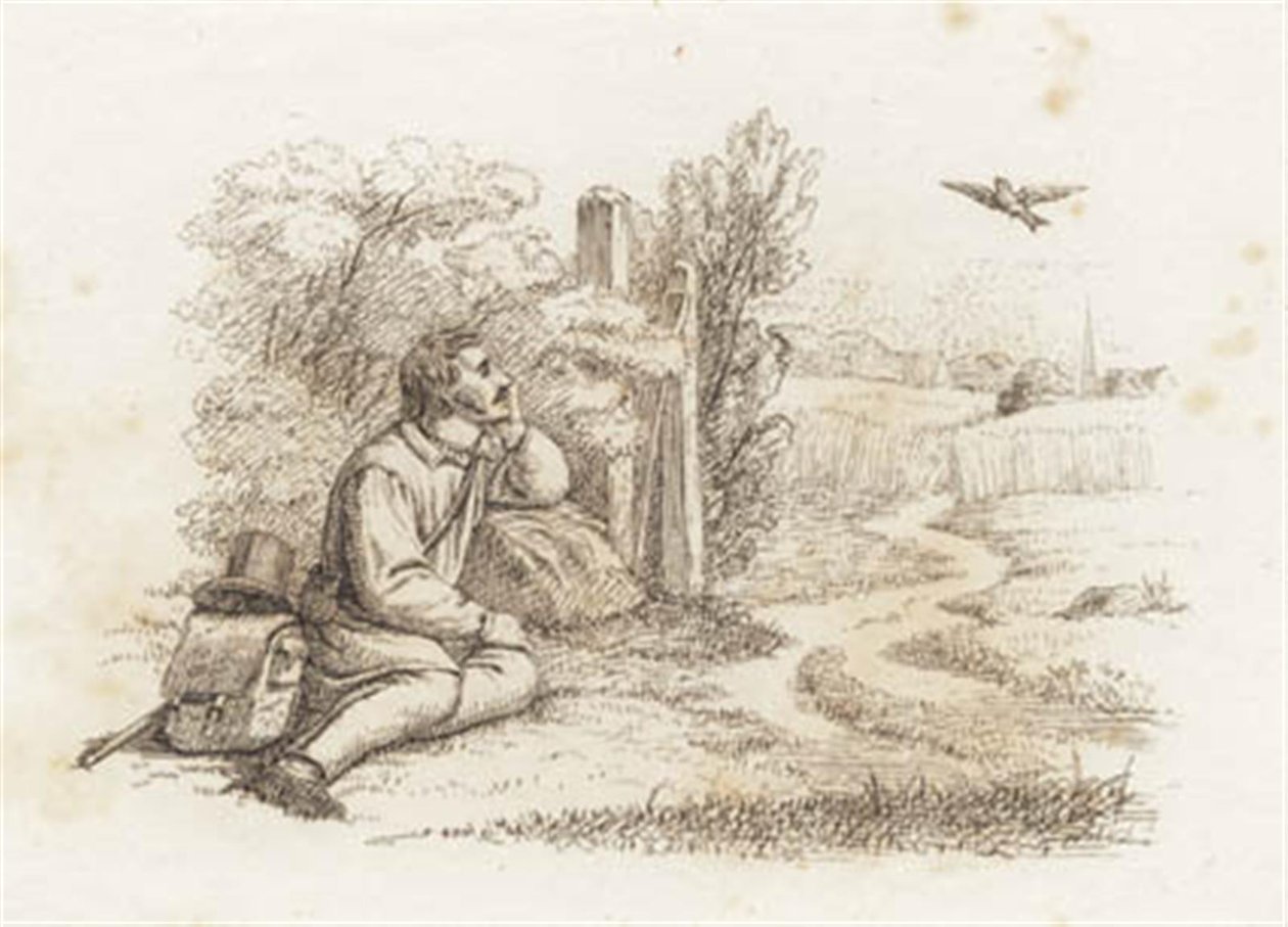 Illustration til "Halvhundrede Fabler for Børn" af Hey af Martinus Rørbye