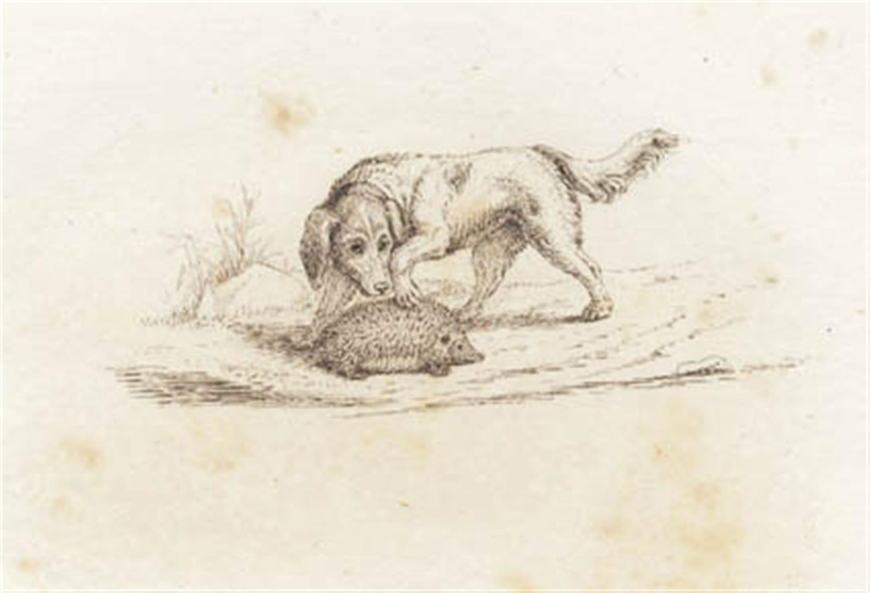 Illustration til "Halvhundrede Fabler for Børn" af Hey af Martinus Rørbye