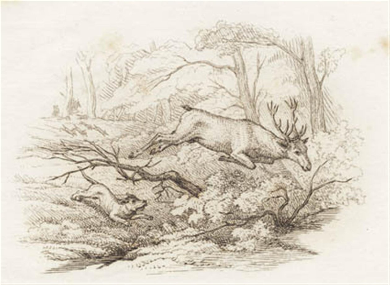 Illustration til "Halvhundrede Fabler for Børn" af Hey af Martinus Rørbye