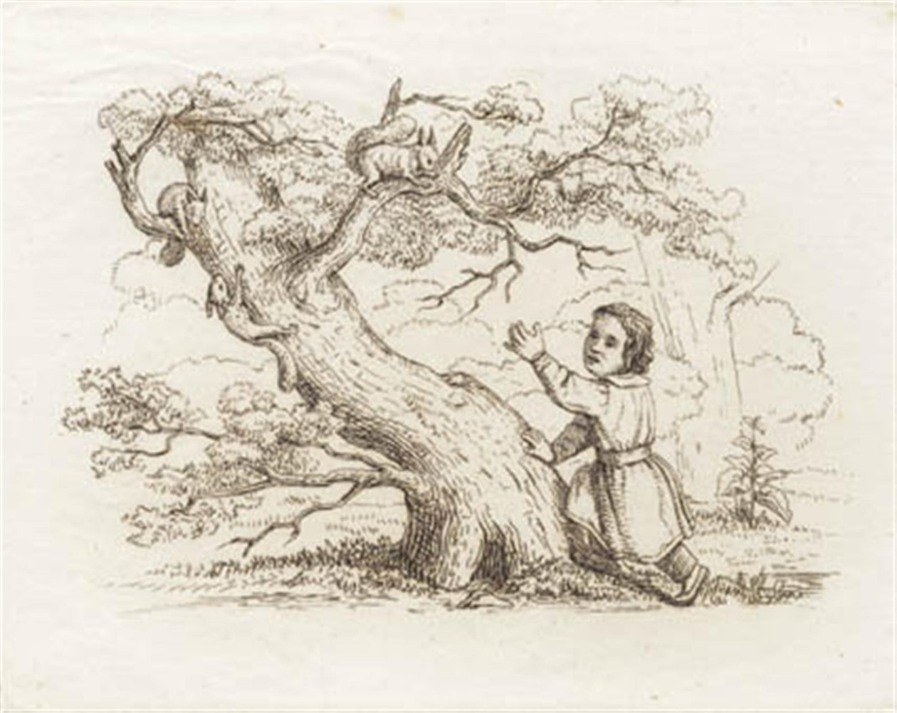 Illustration til "Halvhundrede Fabler for Børn" af Hey af Martinus Rørbye