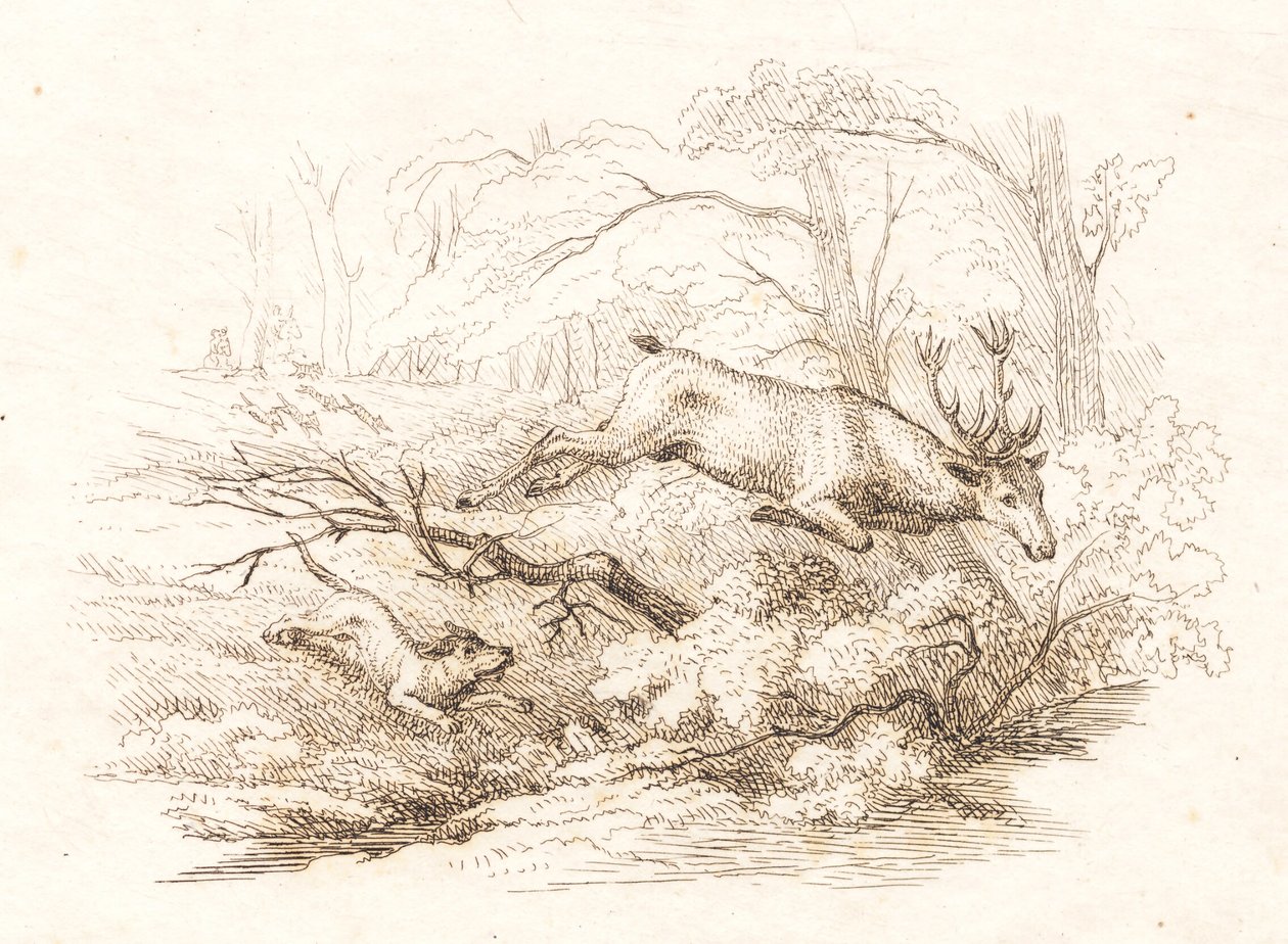 Illustration til "Halvhundrede Fabler for Børn" af Hey af Martinus Rørbye