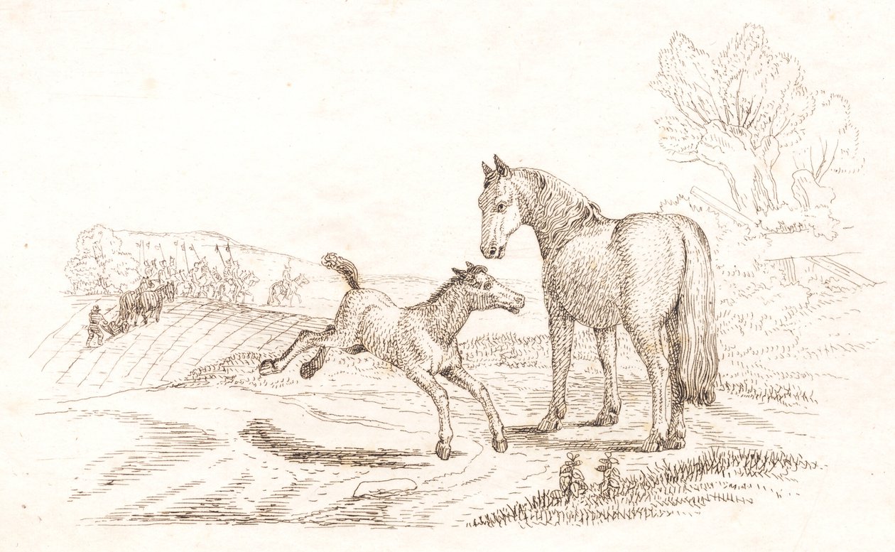 Illustration til "Halvhundrede Fabler for Børn" af Hey af Martinus Rørbye