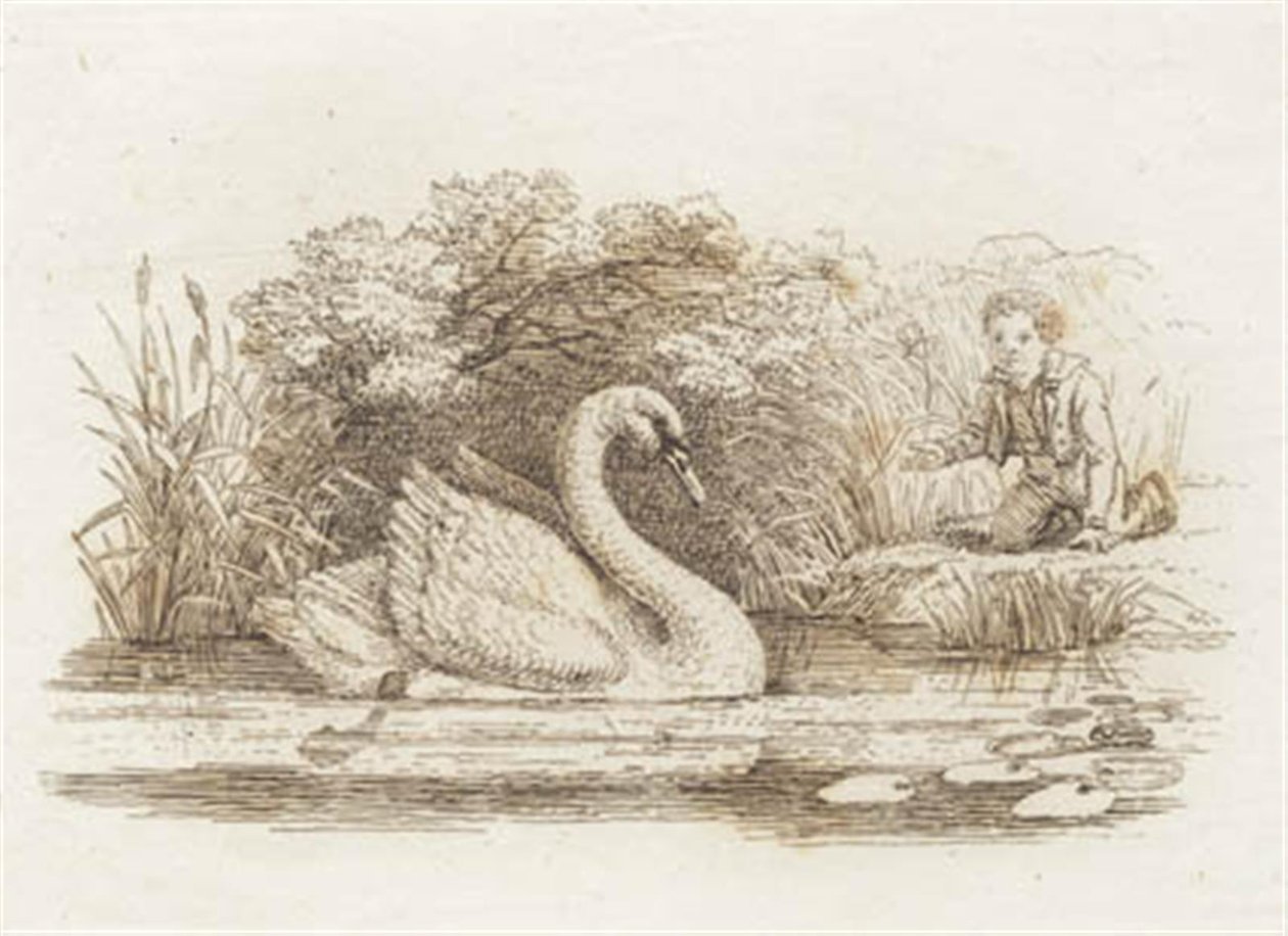Illustration til "Halvhundrede Fabler for Børn" af Hey af Martinus Rørbye