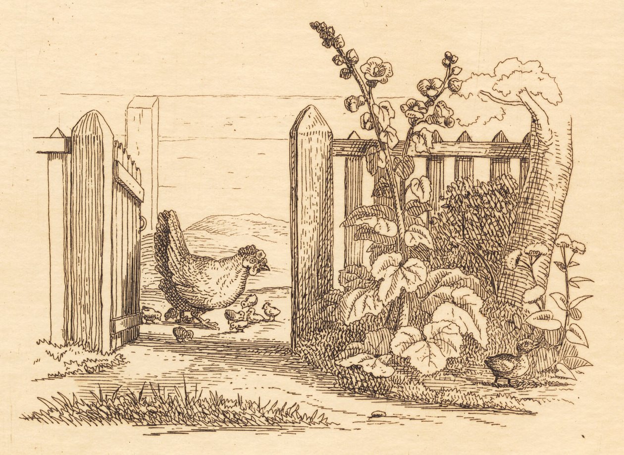 Illustration til "Halvhundrede Fabler for Børn" af Hey af Martinus Rørbye