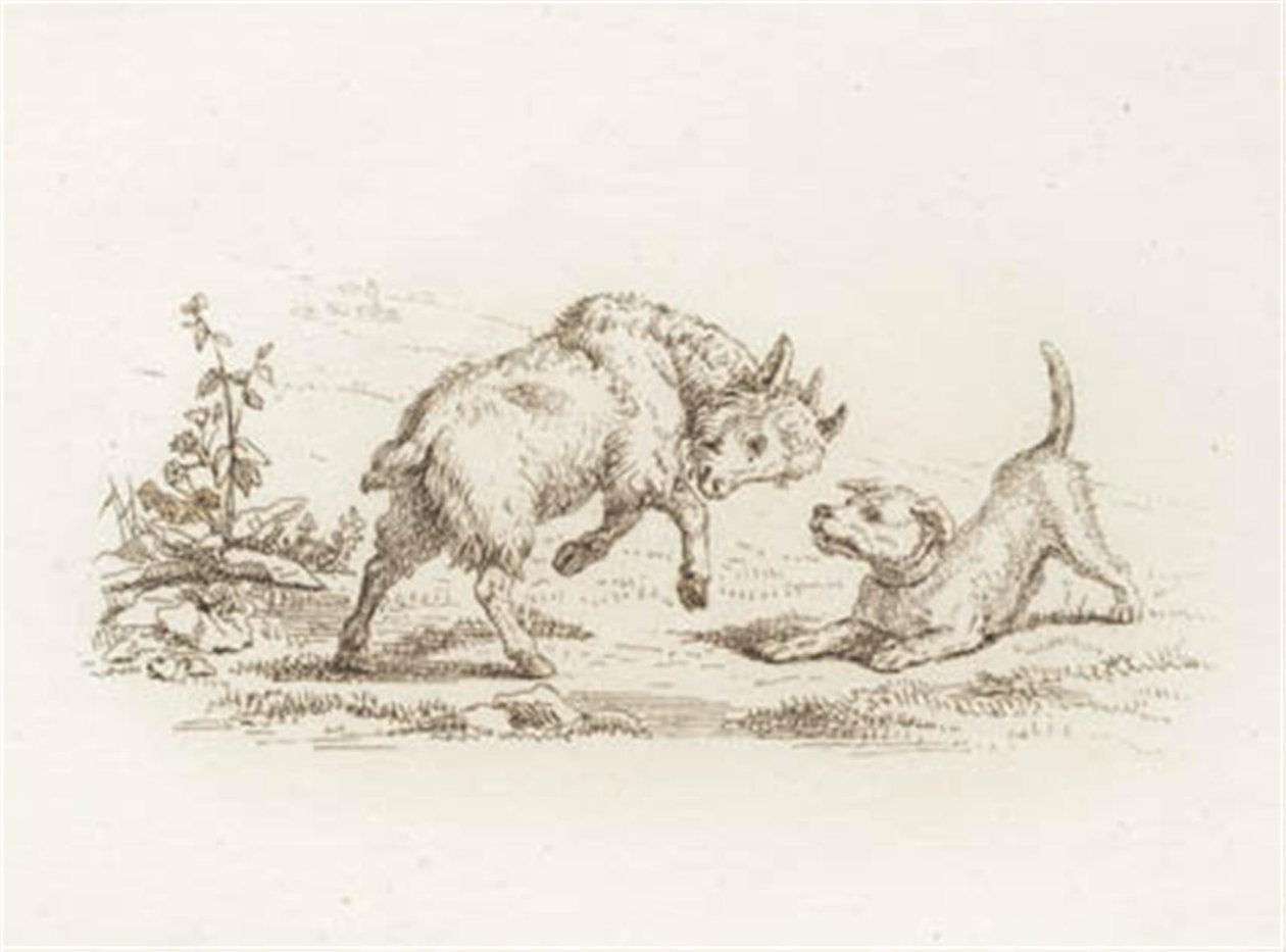 Illustration til "Halvhundrede Fabler for Børn" af Hey af Martinus Rørbye