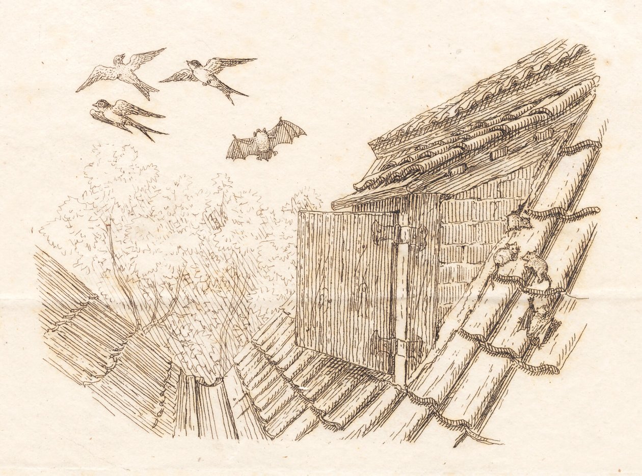 Illustration til "Halvhundrede Fabler for Børn" af Hey af Martinus Rørbye