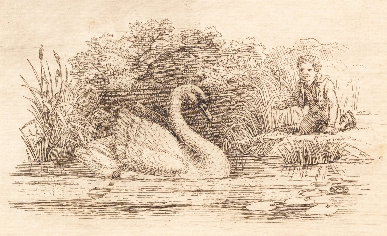 Illustration til "Halvhundrede Fabler for Børn" af Hey af Martinus Rørbye
