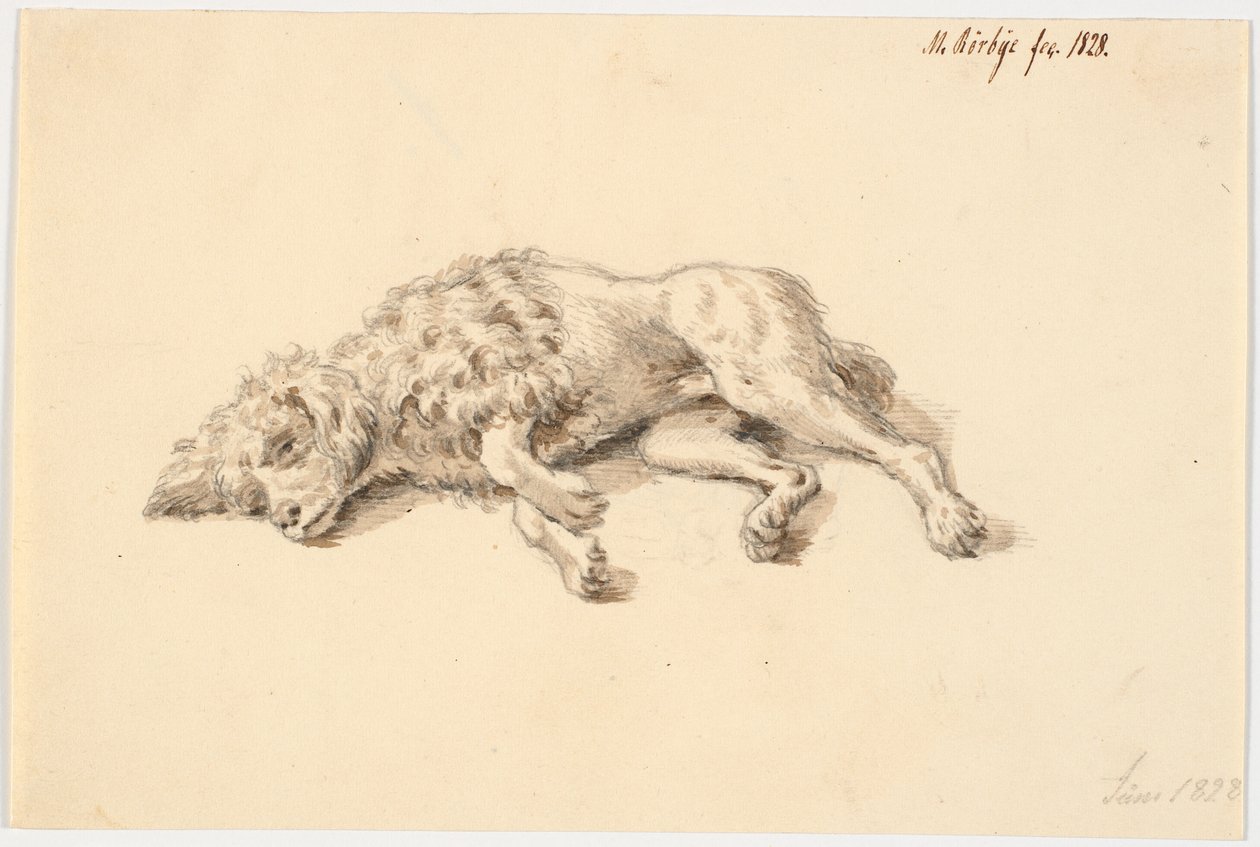 Liggende puddelhund af Martinus Rørbye