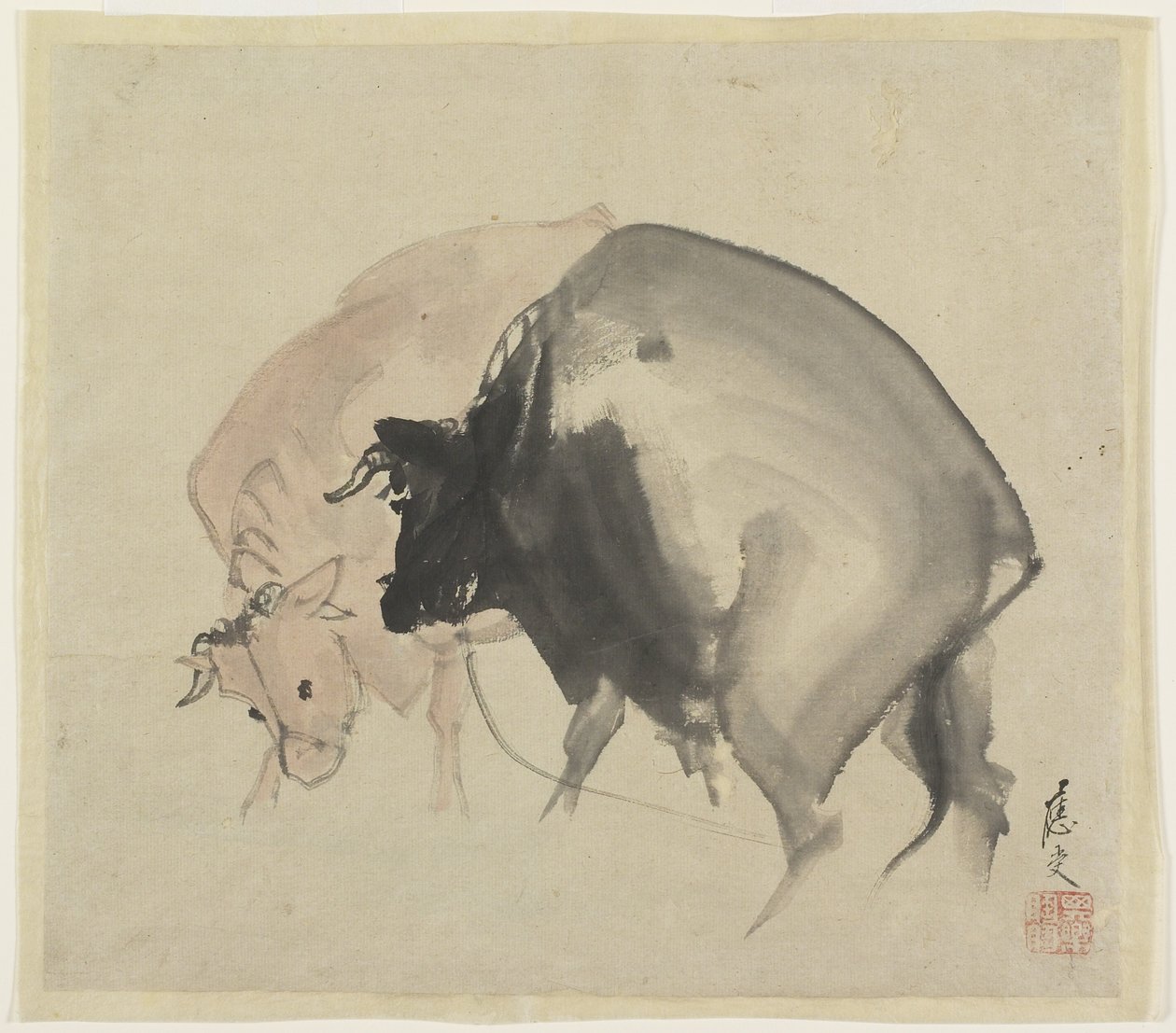 Two Bulls, ca. 1810 (blæk og farver på papir) af Maruyama Oju