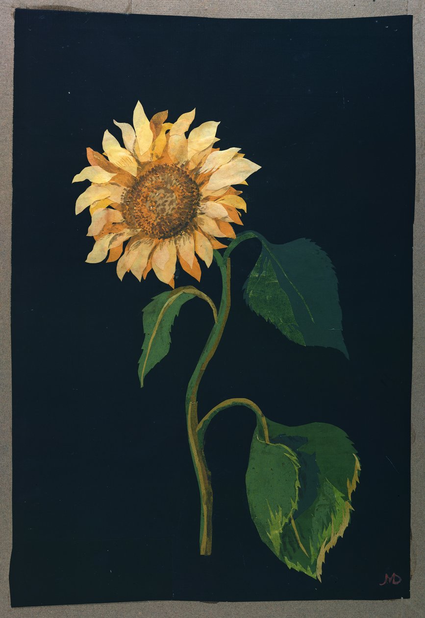 Solsikke (papircollage) af Mary Granville Delany
