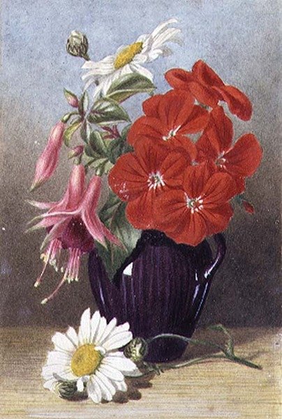 Pelargonier og fuchsiaer i glaseret lilla kande af Mary Elizabeth Duffield