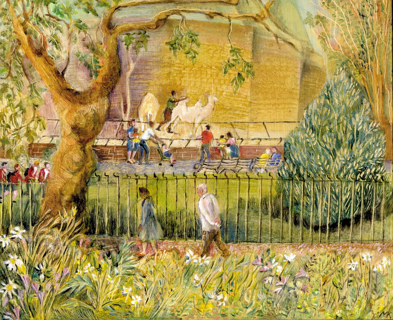 London Zoo, Camels, 2003 (olie om bord) af Mary Kuper