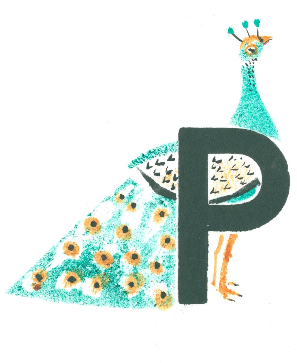 P er for påfugl af Mary Kuper