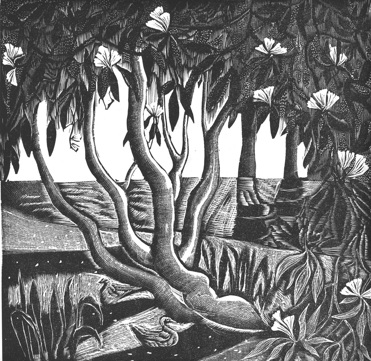 Rhododendron, Holland Park, 2006 (vinylgravering) af Mary Kuper
