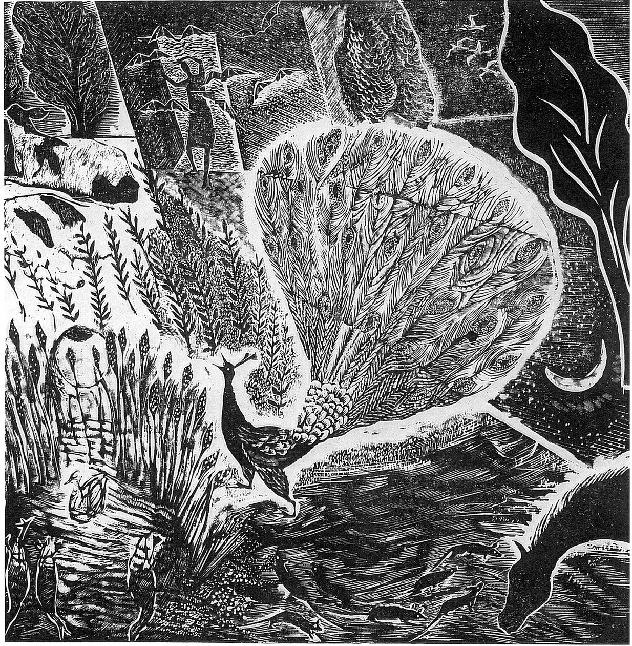 Tegn på en forestående storm, 2004 (vinylgravering) af Mary Kuper