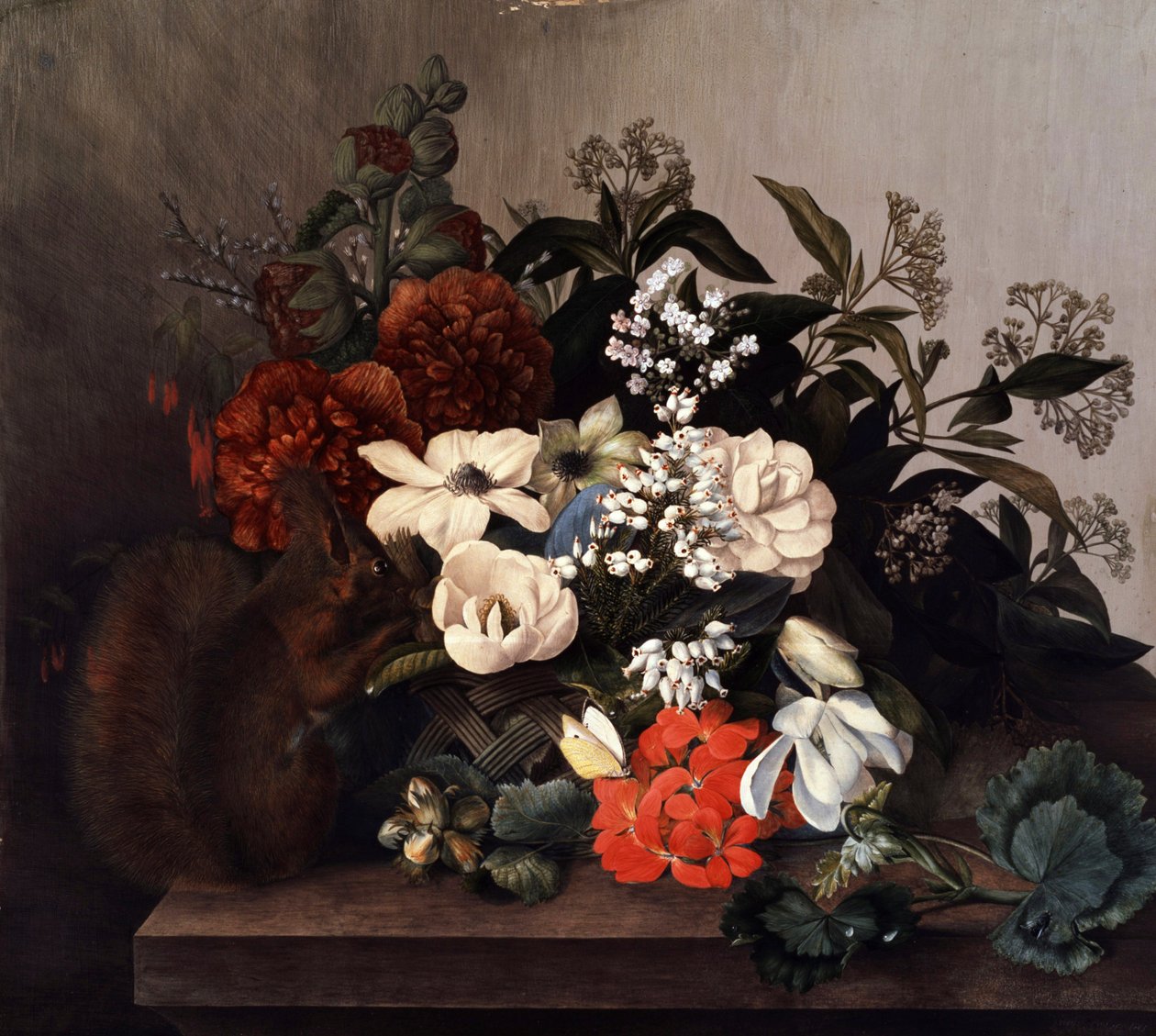 Stilleben med egern og pelargonier. Maleri af Mary Lawrence (født i det 18. århundrede) Privat samling. af Mary Lawrence