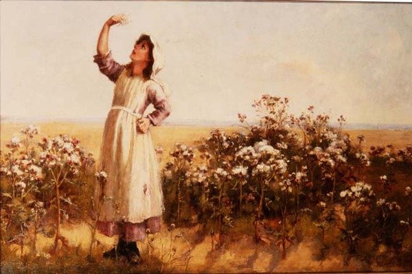 Thistledown af Mary Louise Breakell