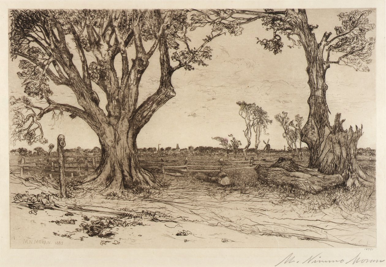 Old Lindens - nær Easthampton af Mary Nimmo Moran