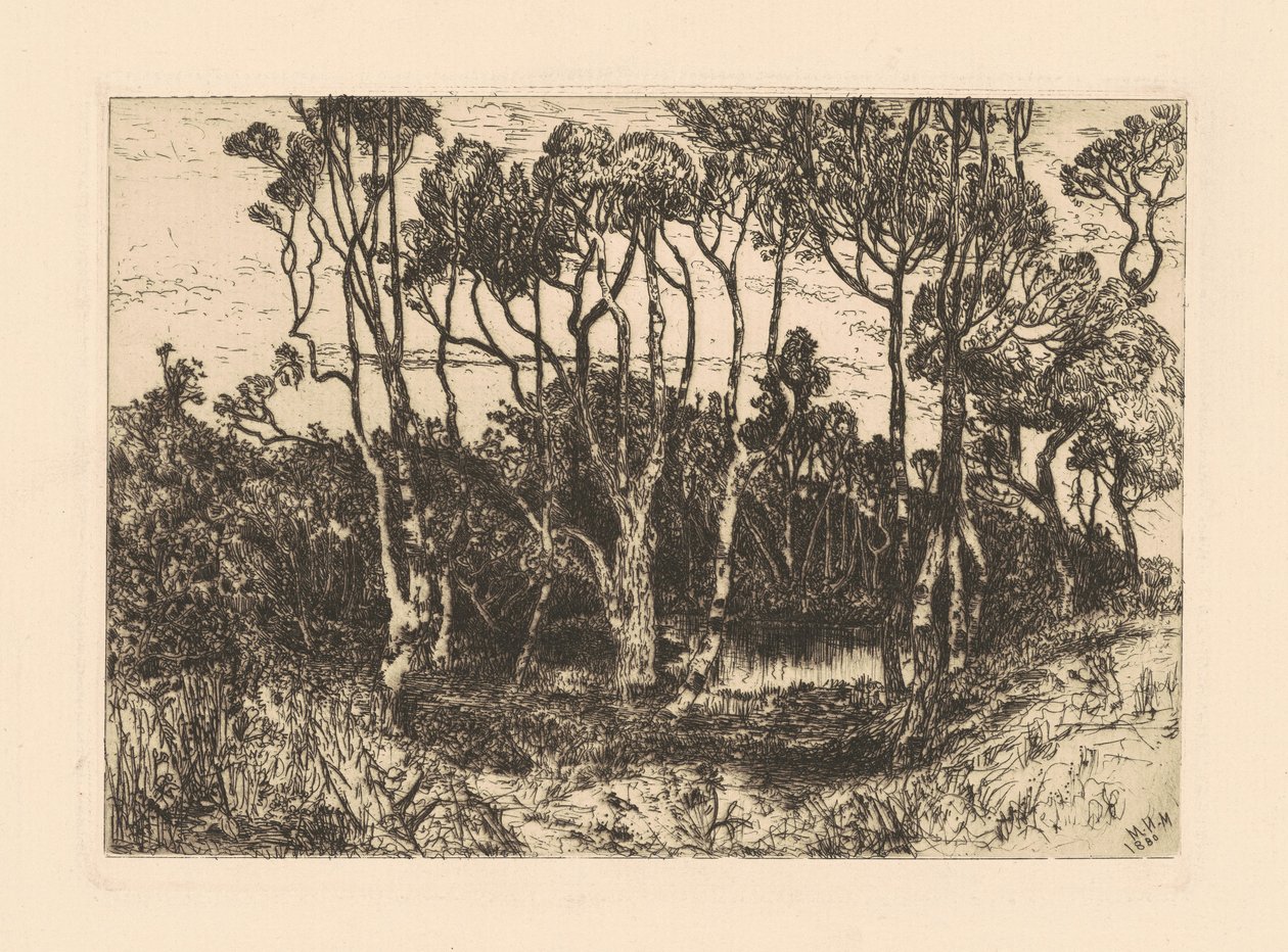 Ensomhed af Mary Nimmo Moran