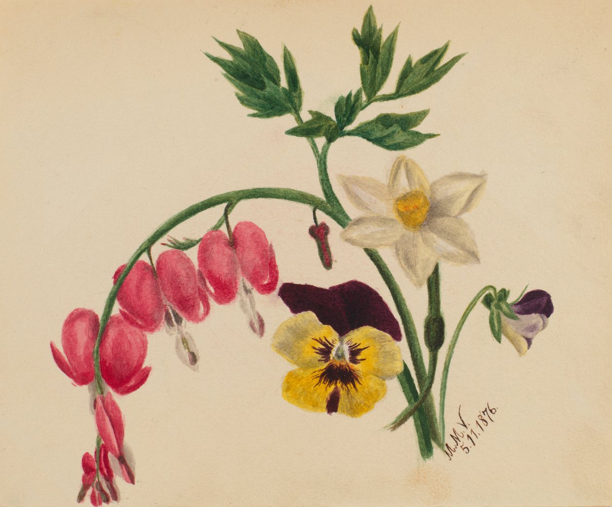 (Uden titel - blandede blomster) af Mary Vaux Walcott