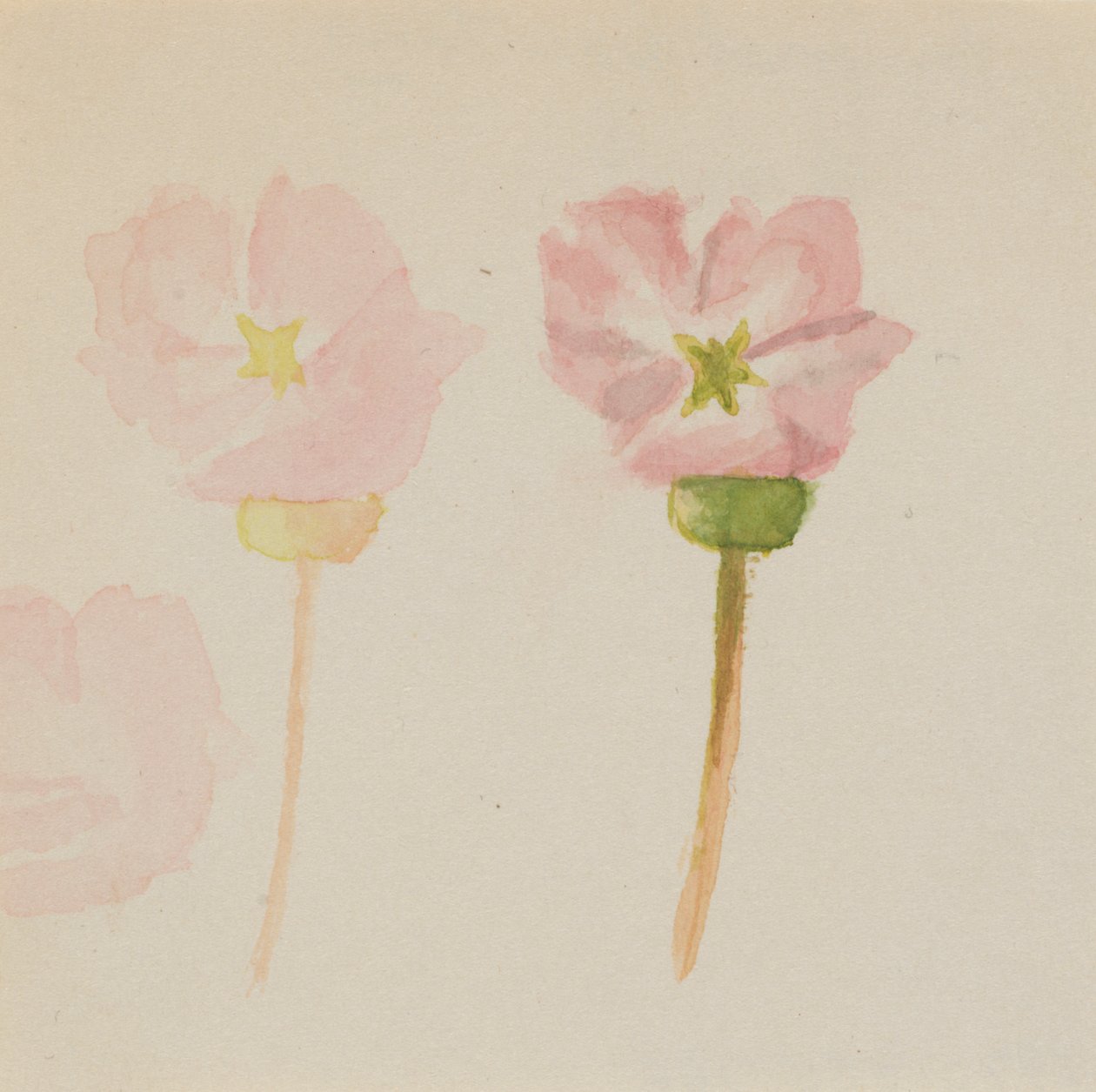 "Mit første maleri" af Mary Vaux Walcott