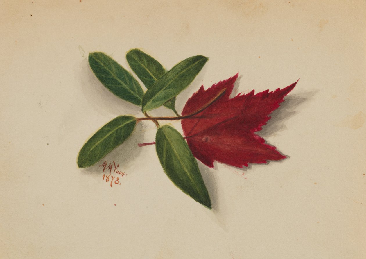 Uden titel, 1873. af Mary Vaux Walcott