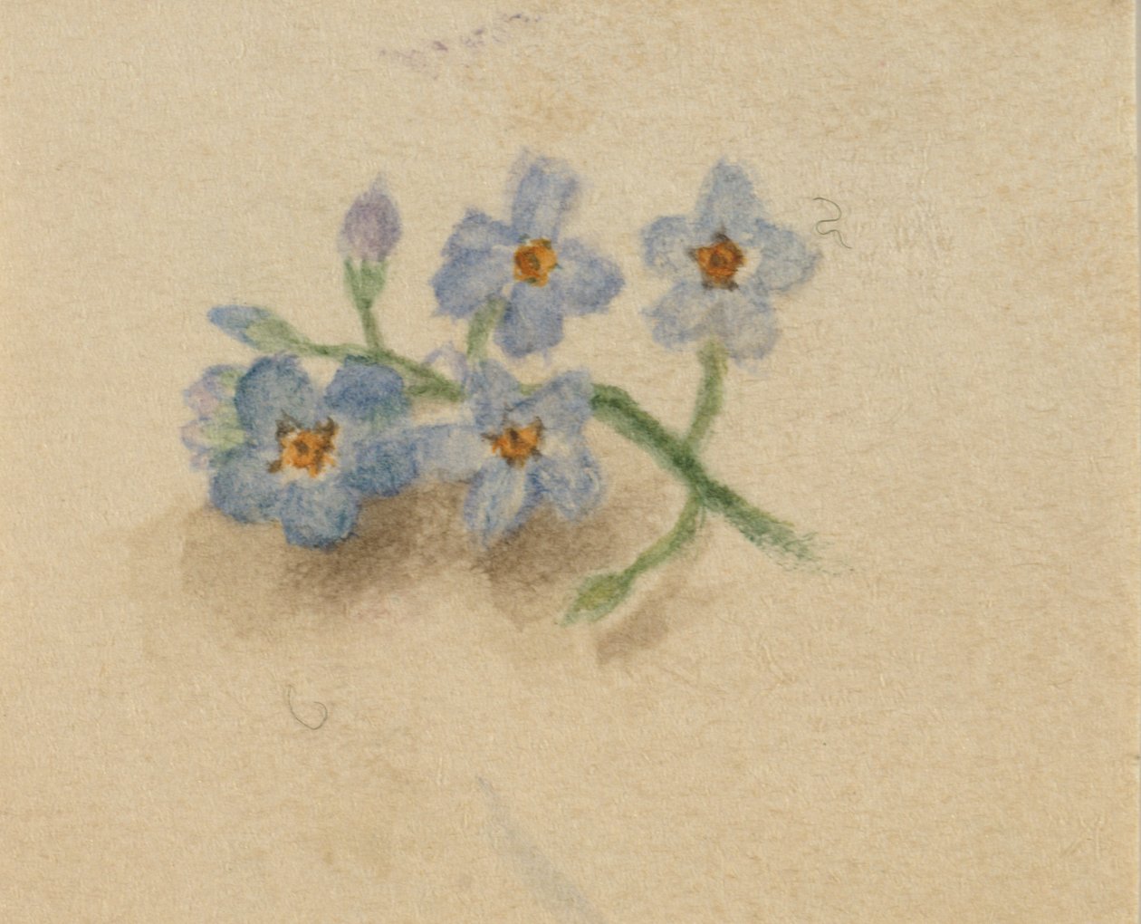 Uden titel, 1874. af Mary Vaux Walcott