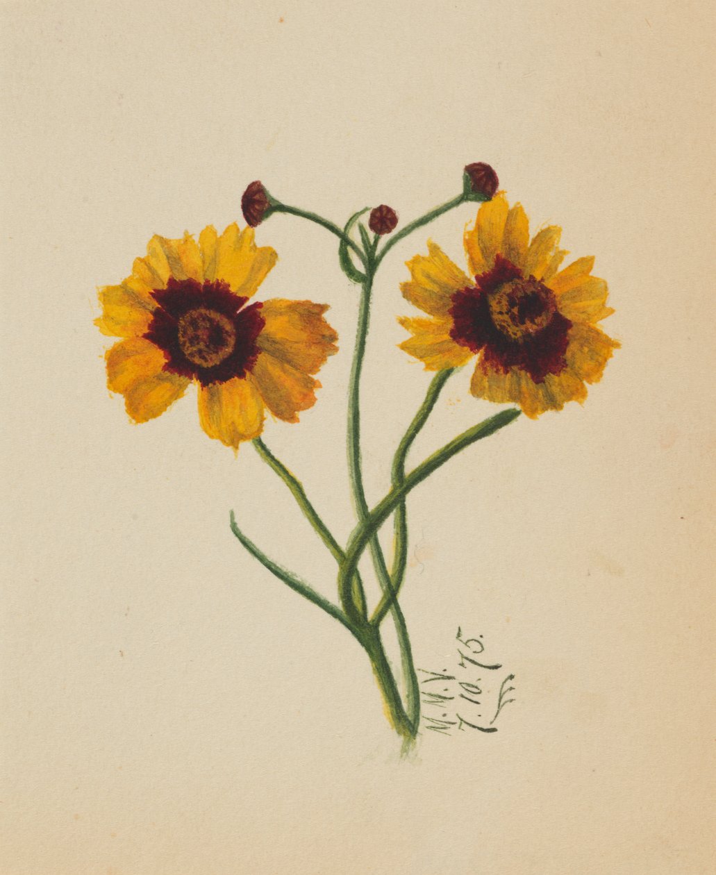 Uden titel, 1875. af Mary Vaux Walcott