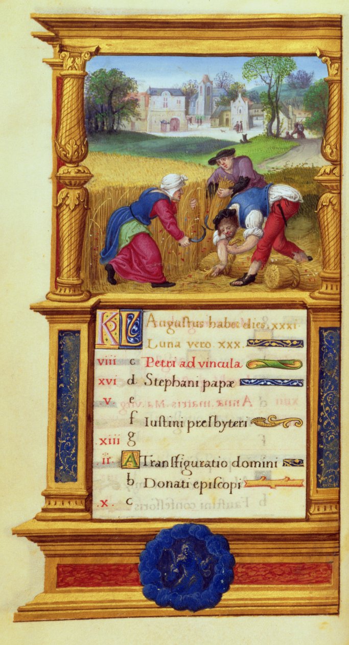 MS W.449 fol.9v August Reaping Wheat, c.1525 af Master Jean de Mauleon