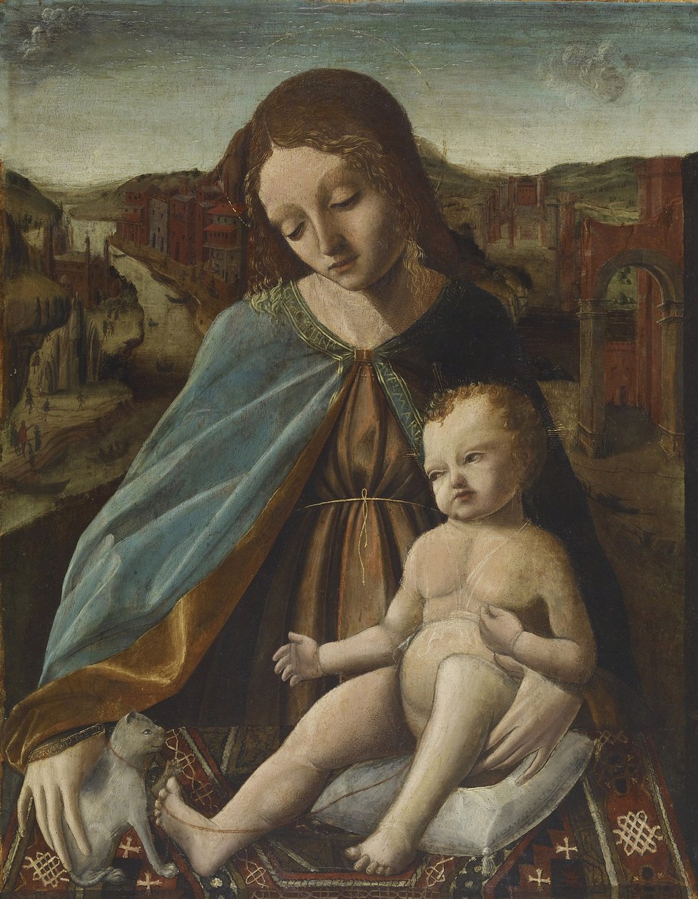 Madonna og barn med kat, 1485-95 af Master of the Pala Sforzesca