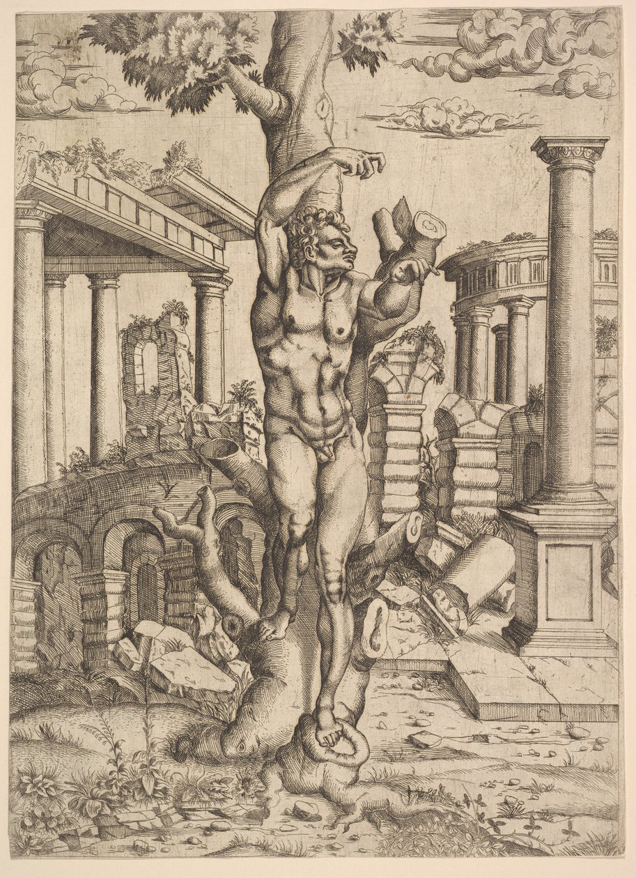 Man Against a Tree, ca. 1543-44. af Master IQV