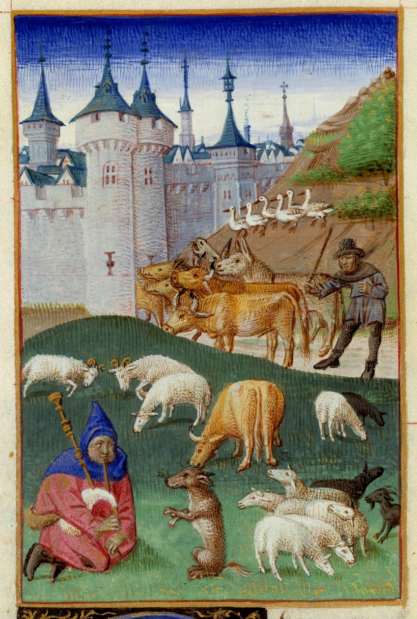 Husdyr og sækkepibespillere Miniature taget fra "The Rustican or Book of Country and Rural Profit" af Pietro de Crescenzi (Crescent Stone eller Crescens Stone) (1233-1320) oplyst af Mesteren af Boccace i Geneve kaldet Colin d