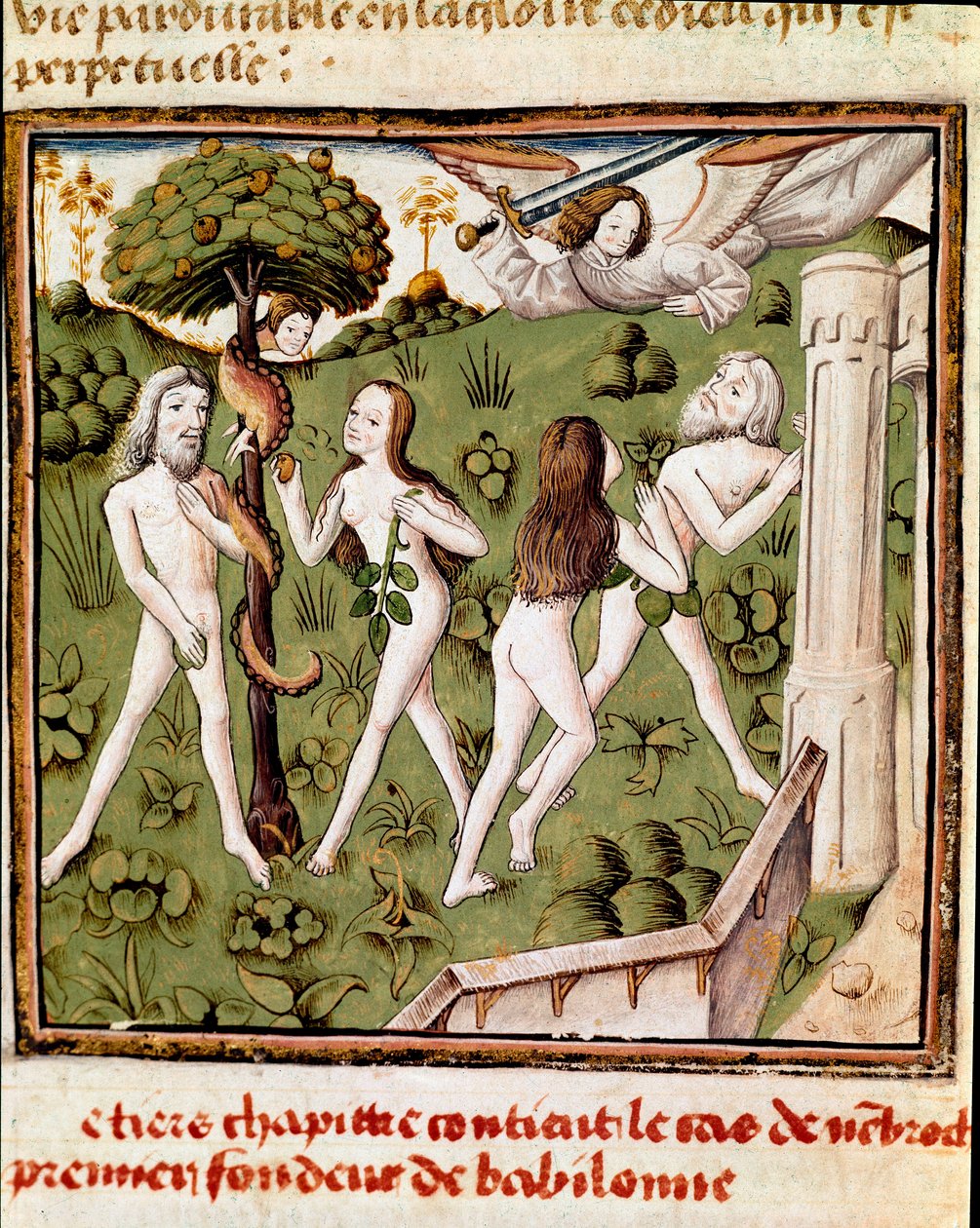 Adam og Eva plukker den forsvarede frugt Miniature of the Master of the Champion of Ladies (1400-tallet) fra manuskriptet "" Des hommes illustres"" af Giovanni Boccaccio (Jean Boccaccio) (1313-1375). 15. århundrede. Carpentras. Inguimbertine Bibliotek af Master of the Champion des Dames