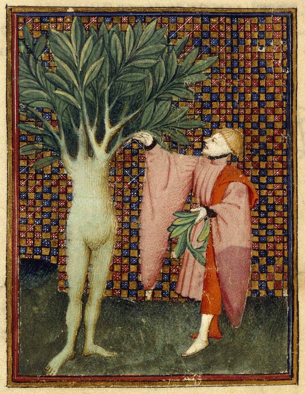 Apollo og Daphne af Master of the Cité des Dames