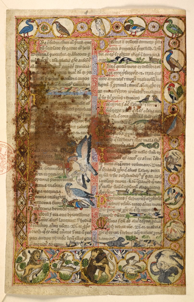 Tilføje. 28841, f.1, Geometriske helsidesranter af romber, rundeller og quatrefoils beboet af dyr og figurative scener: Fugle, krybdyr og dyr, inklusive løver, der angriber andre skabninger og fugle, der kæmper mod hinanden, en hane, en ugle, en sna. af Master of the Cocharelli Codex