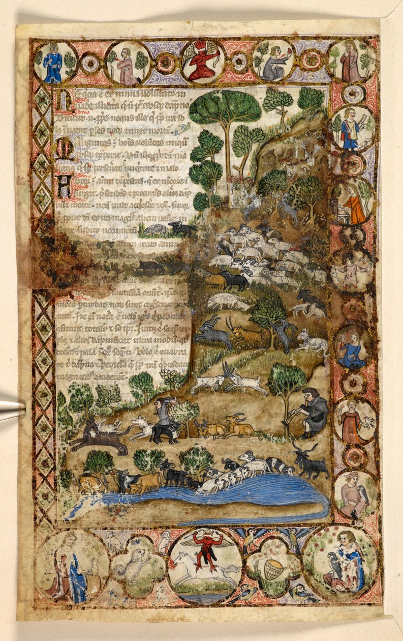 Tilføje. 28841, f.1v: Geometriske helsideskanter af rhomboider, rundeller og quatrefoils beboet af dyr og figurative scener: Hyrder, der våger over får og geder og kæmper mod ulve, en rød djævel, der står til hest i grænsen, fra en godbid af Master of the Cocharelli Codex