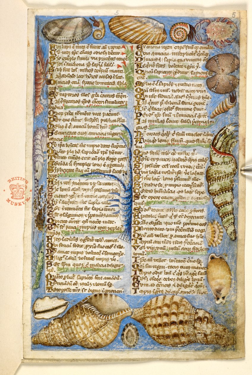 Tilføje. 28841, f.5: Skaller og havdyr, fra en afhandling om dyder og laster, og en anonym prosahistorie på Sicilien (fragment), ca. 1330-40 (vellum) af Master of the Cocharelli Codex