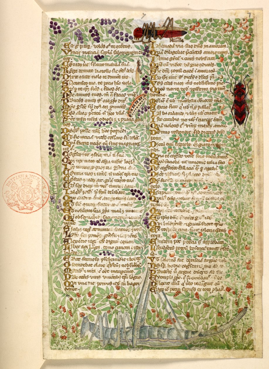 Tilføje. 28841, f.7, Blomster, frugter og insekter, inklusive en græshoppe og en græshoppe, fra en afhandling om dyder og laster, og en anonym prosahistorie på Sicilien (fragment) af Master of the Cocharelli Codex