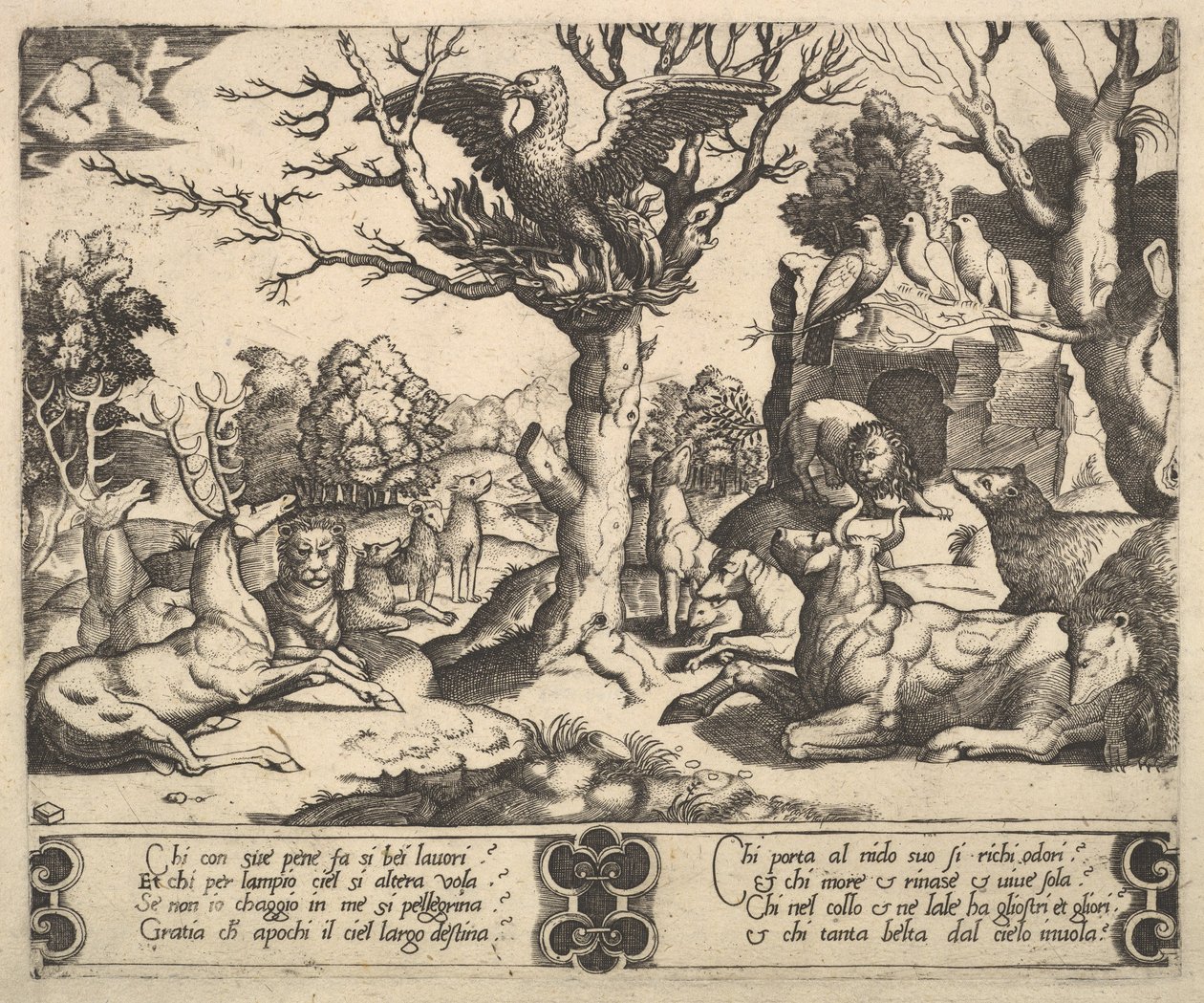 En føniks sad på toppen af et træ, åbne vinger, et udvalg af dyr nedenfor, 1530-60. af Master of the Die