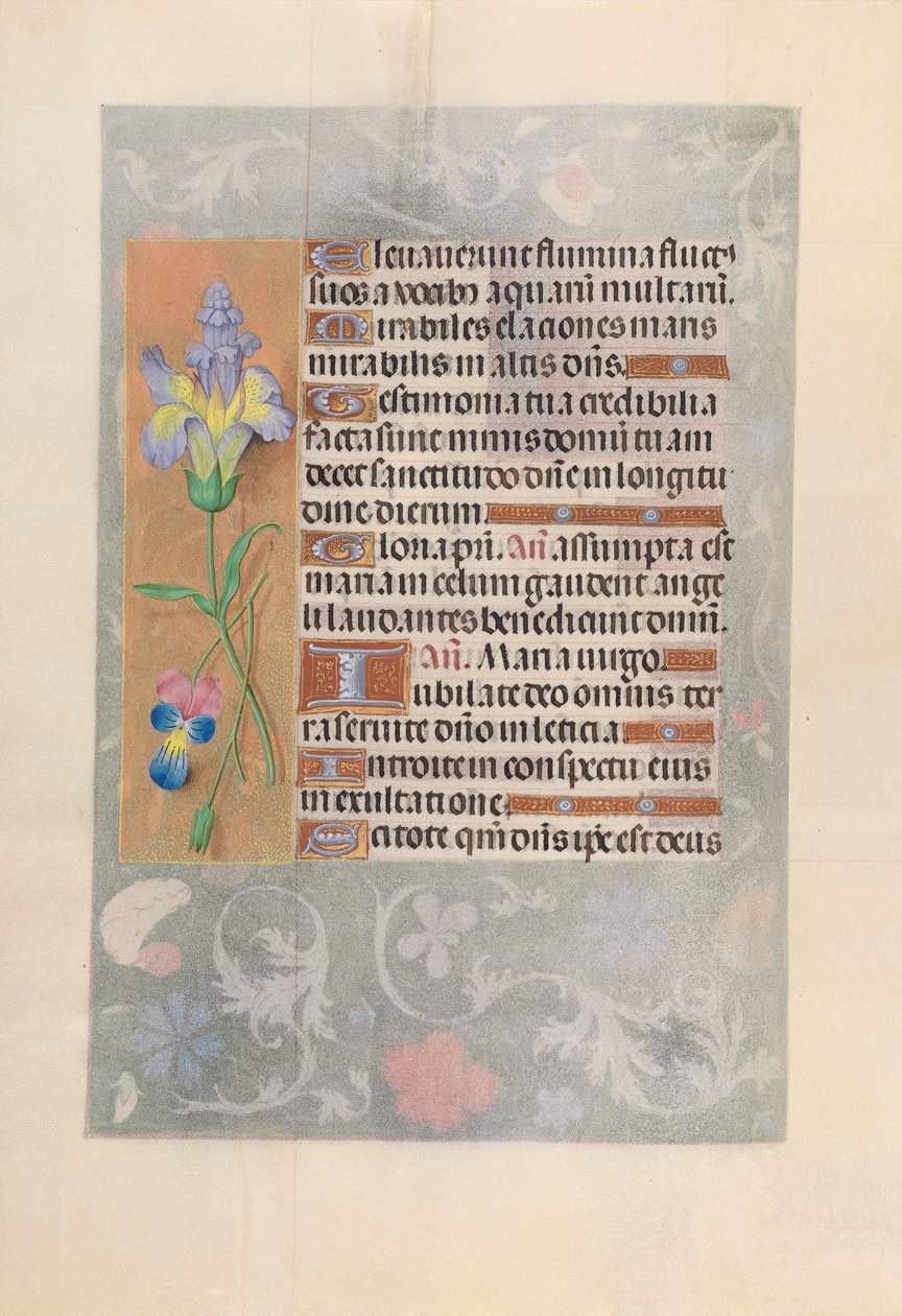 Dronning Isabella den katolske, dronning af Spaniens åbningstider: Fol. 116v, ca. 1500. af Master of the First Prayerbook of Maximillian