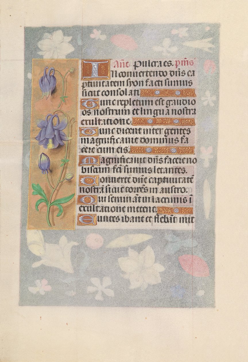 Hours of Dronning Isabella den Katolik, Dronning af Spanien: Fol. 142v, ca. 1500. af Master of the First Prayerbook of Maximillian