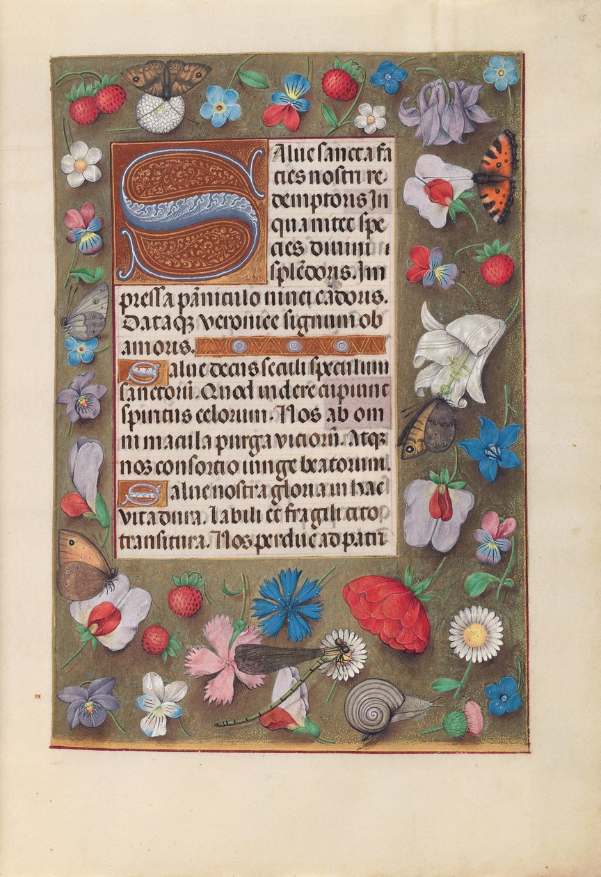 Hours of Dronning Isabella den Katolik, Dronning af Spanien: Fol. 15r, c. 1500. af Master of the First Prayerbook of Maximillian