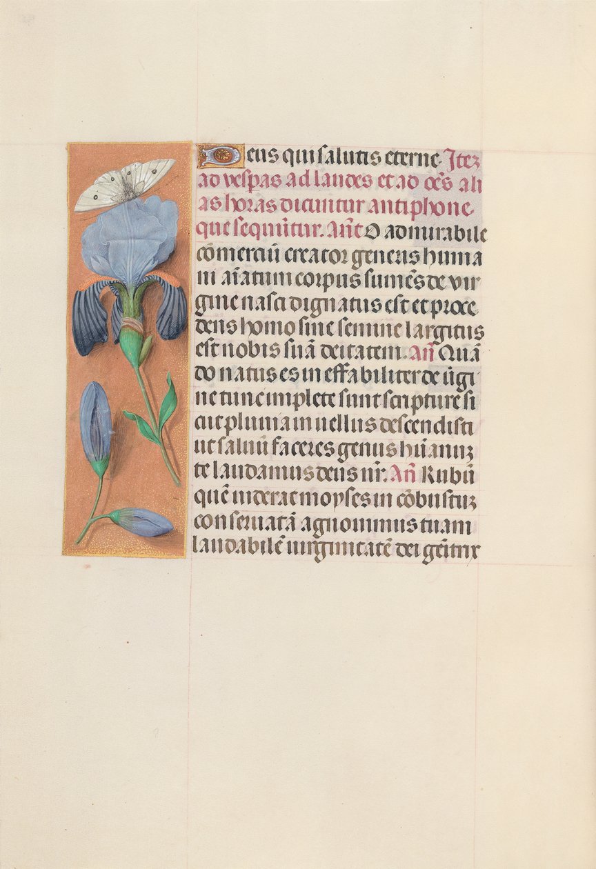 Hours of Dronning Isabella den Katolik, Dronning af Spanien: Fol. 165v, ca. 1500. af Master of the First Prayerbook of Maximillian