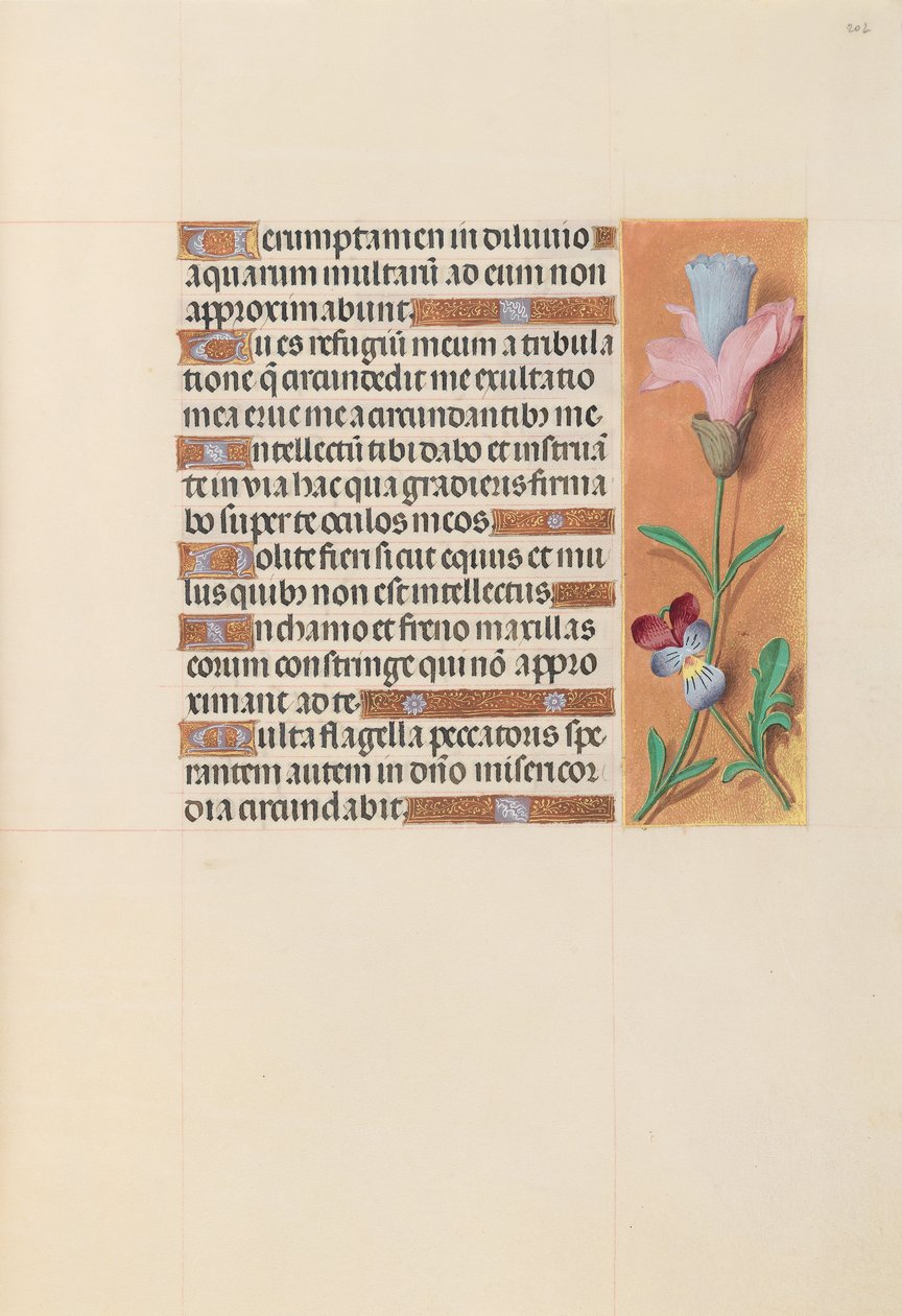 Hours of Dronning Isabella den Katolik, Dronning af Spanien: Fol. 202r, ca. 1500. af Master of the First Prayerbook of Maximillian