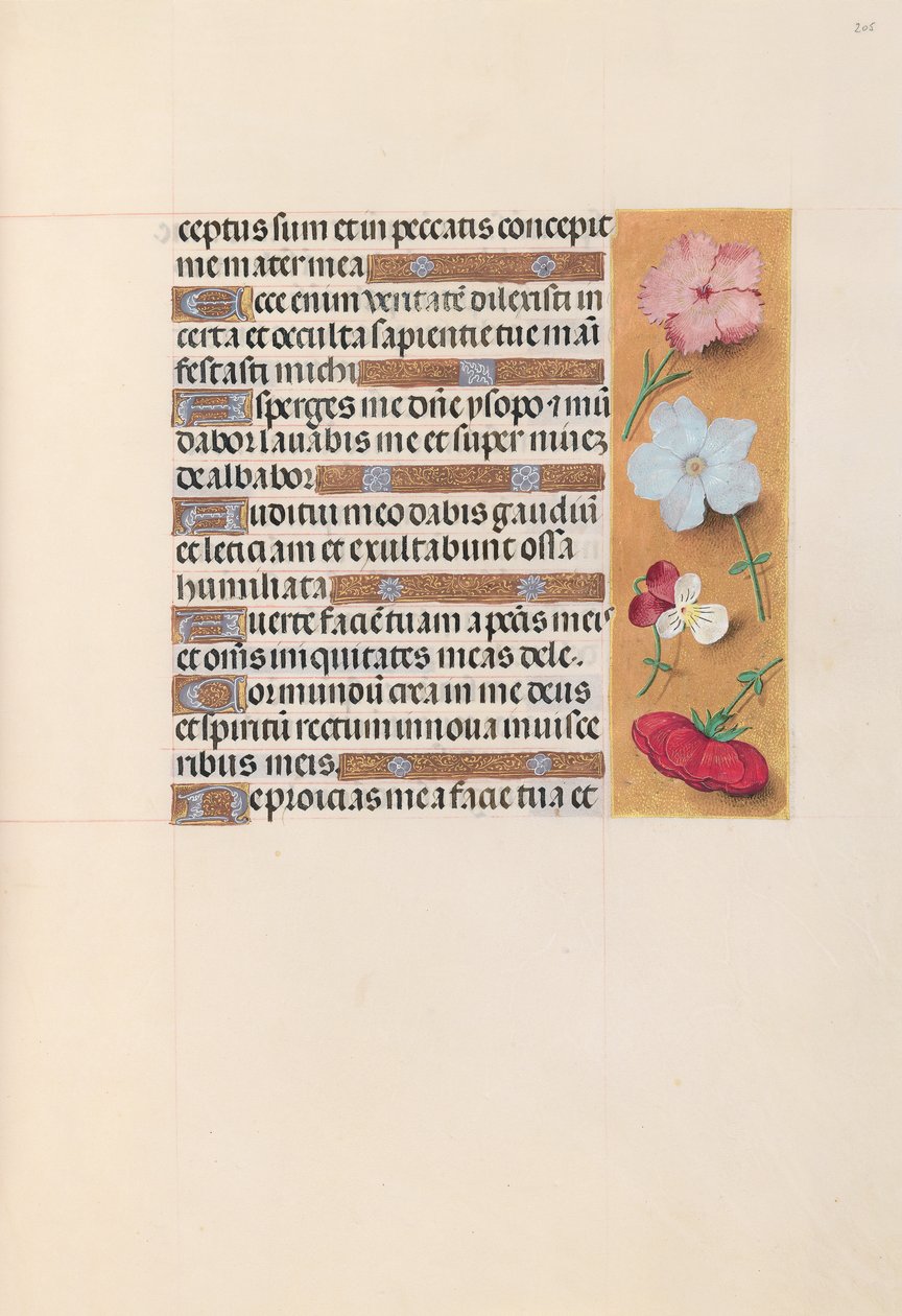 Hours of Dronning Isabella den Katolik, Dronning af Spanien: Fol. 205r, ca. 1500. af Master of the First Prayerbook of Maximillian